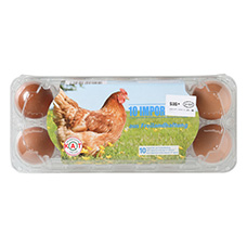 Import Freilandeier, 10er-Pack