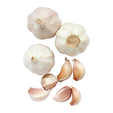 Knoblauch frisch pro Stück