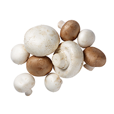 BIO NATURA Champignons braun 250 g