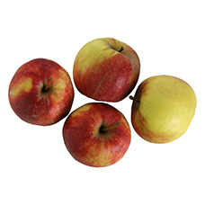 RETOUR AUX SOURCES Pommes BIO suisses 750 g, SUISSE GARANTIE