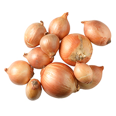 Oignons suisses pour sauce 500g, SUISSE GARANTIE
